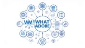 Adobe Expressって何ができるの？安全性なども徹底検証！